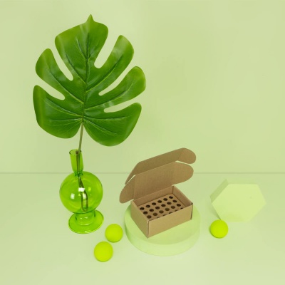 Inlay f&uuml;r Ampullen